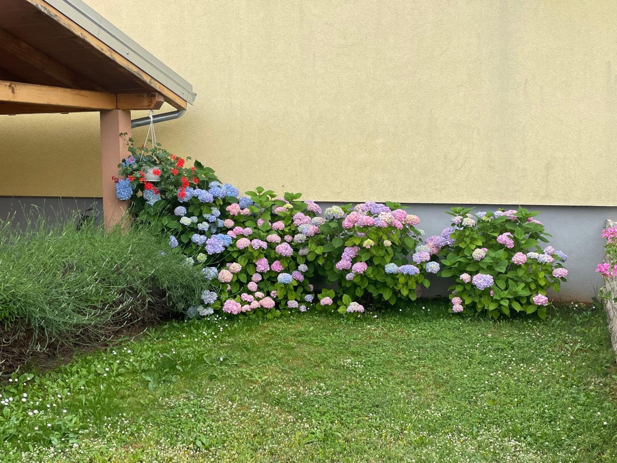 Apartments Dora Porec Exterior photo