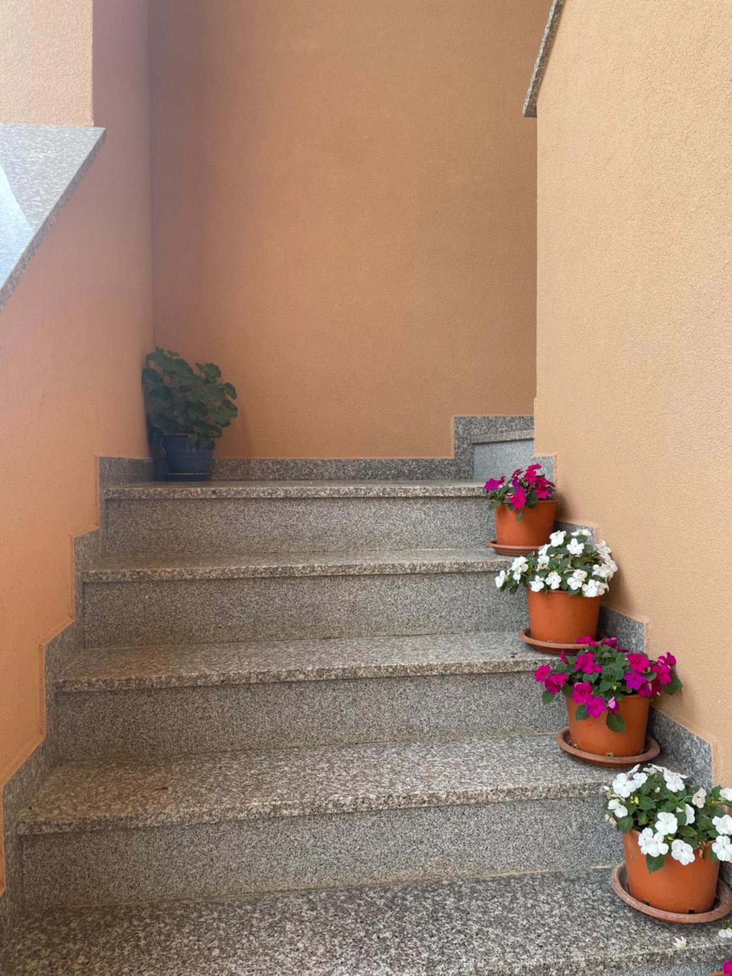 Apartments Dora Porec Exterior photo